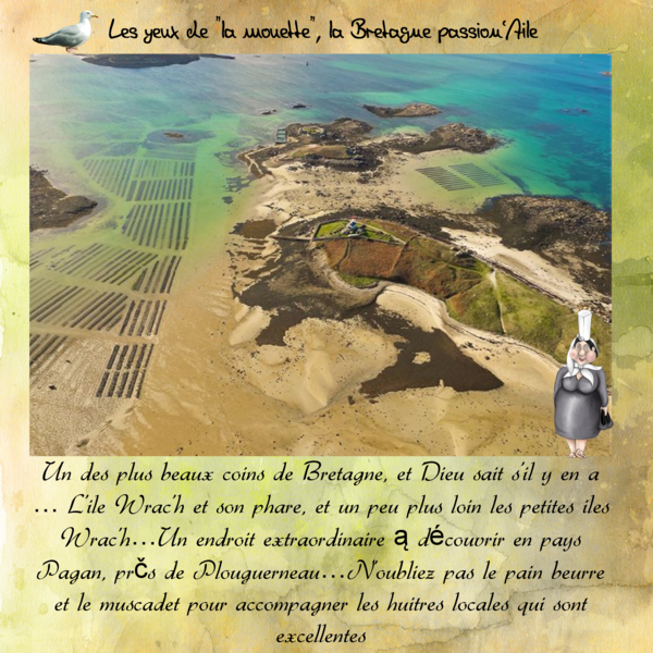 A visiter sur Facebook !.....