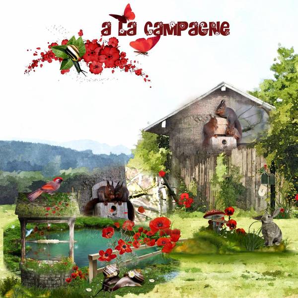 A_LA_CAMPAGNE1