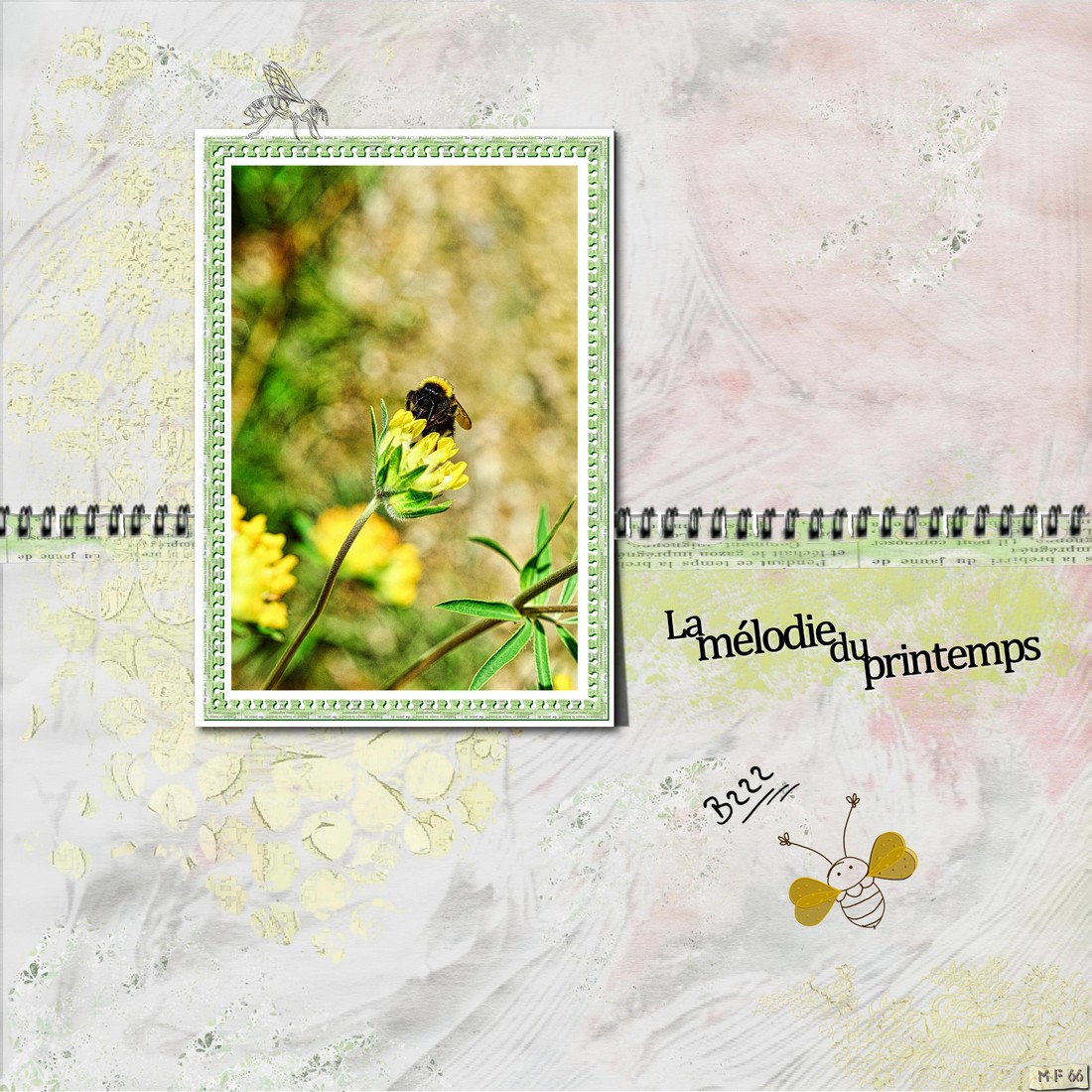 abeille printemps.jpg