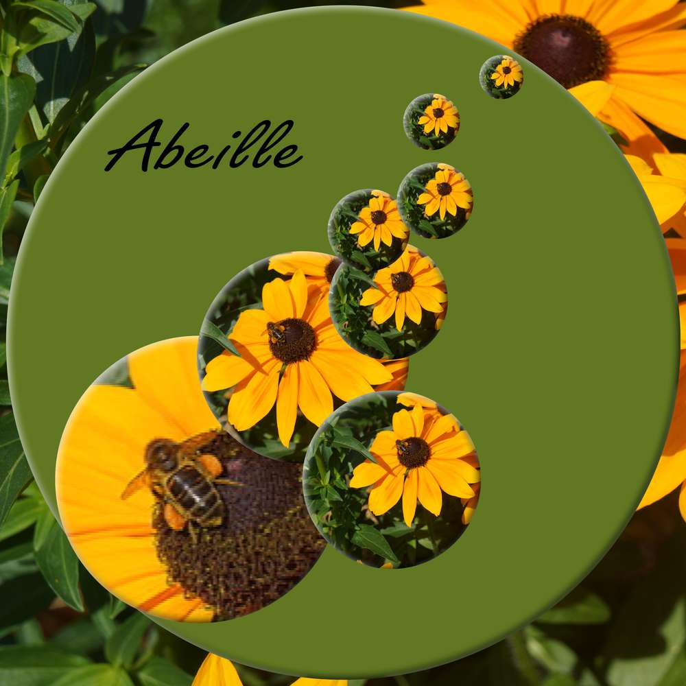Abeille