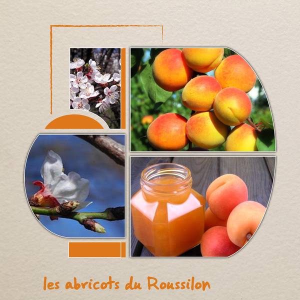 abricots du Roussilon
