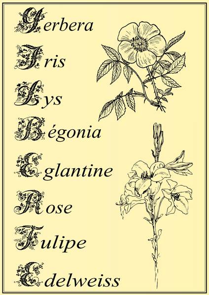 ACROSTICHE avec des NOMS de FLEURS