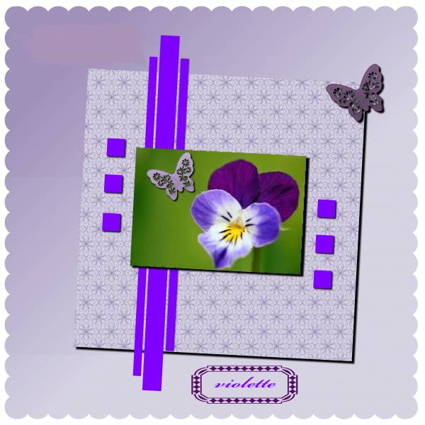 Adorable violette