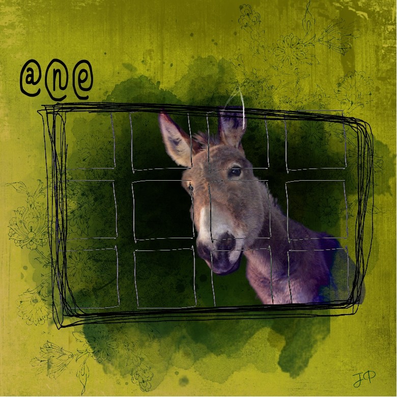 ÄNE DERRIERE LA FENETRE.jpg