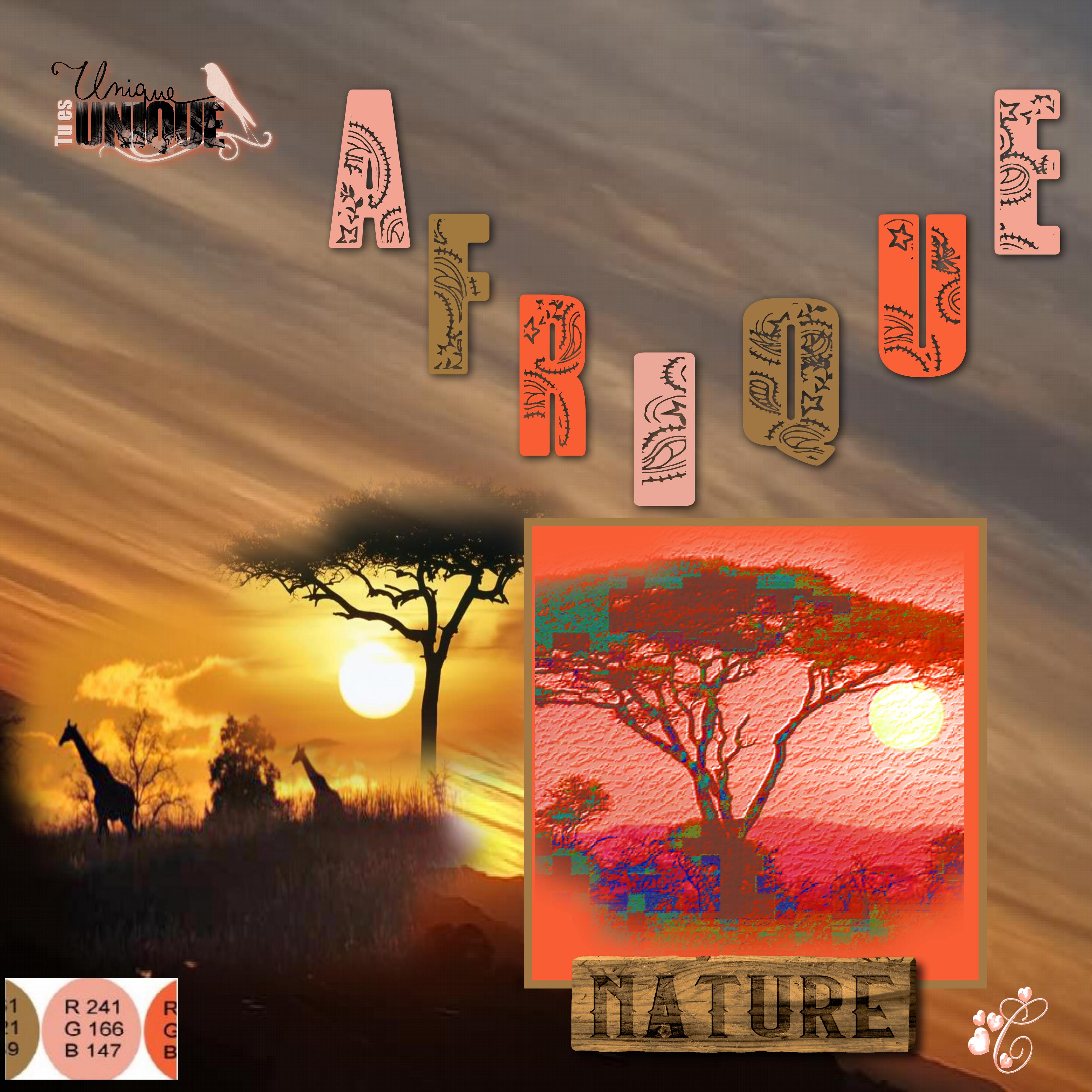 Afrique  Christine challengecouleur Arthéa.jpg