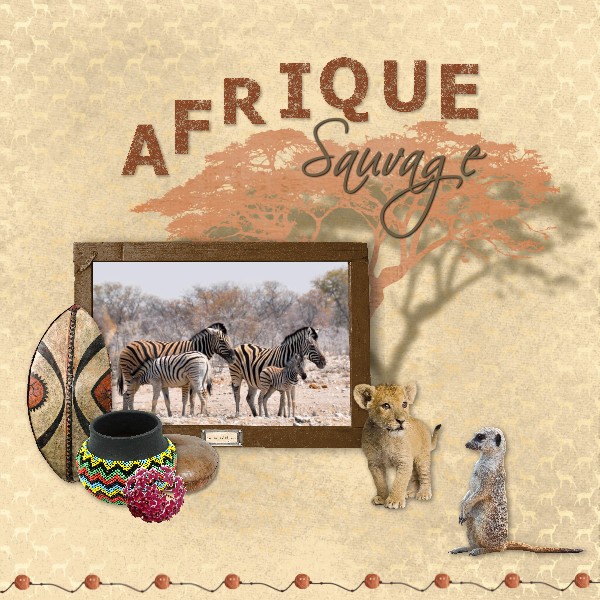 Afrique sauvage