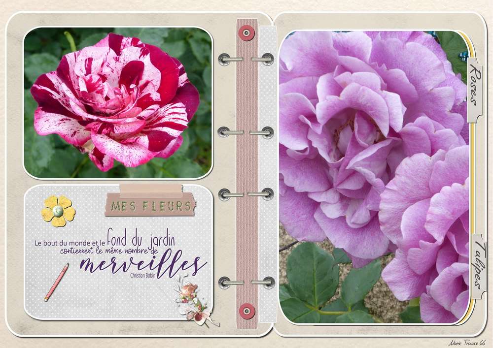 AGENDA  TEMPLATE GILBERTE 2