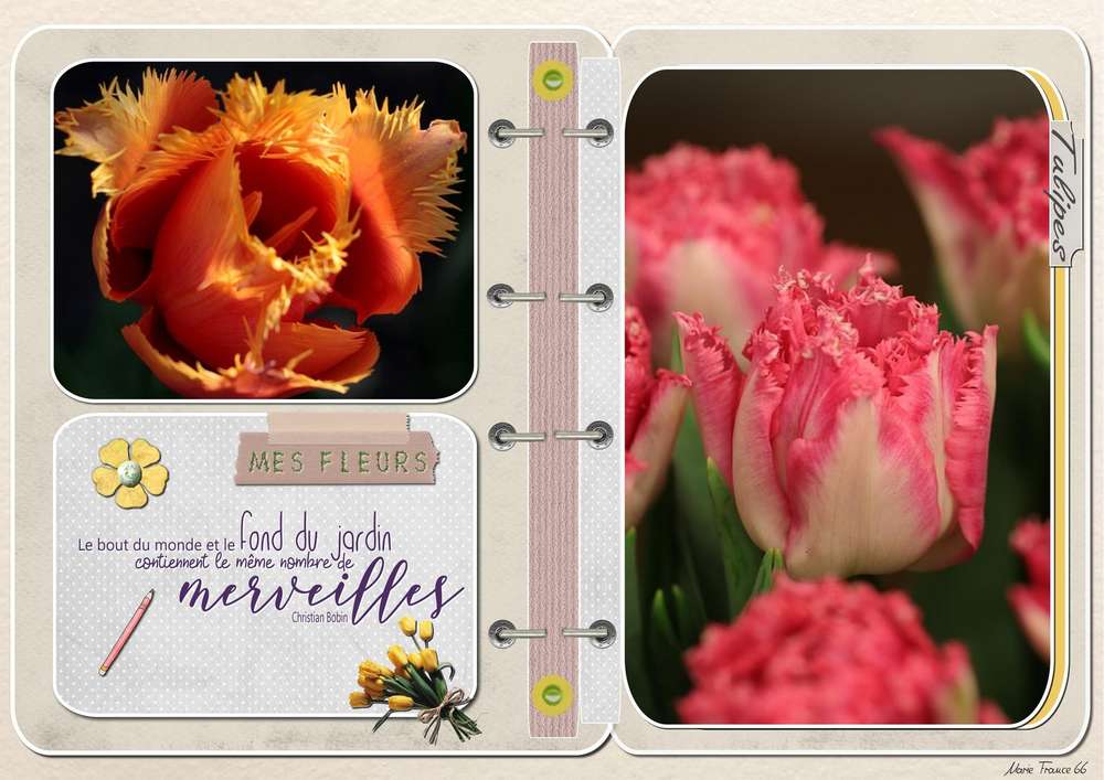 AGENDA  TEMPLATE GILBERTE 2