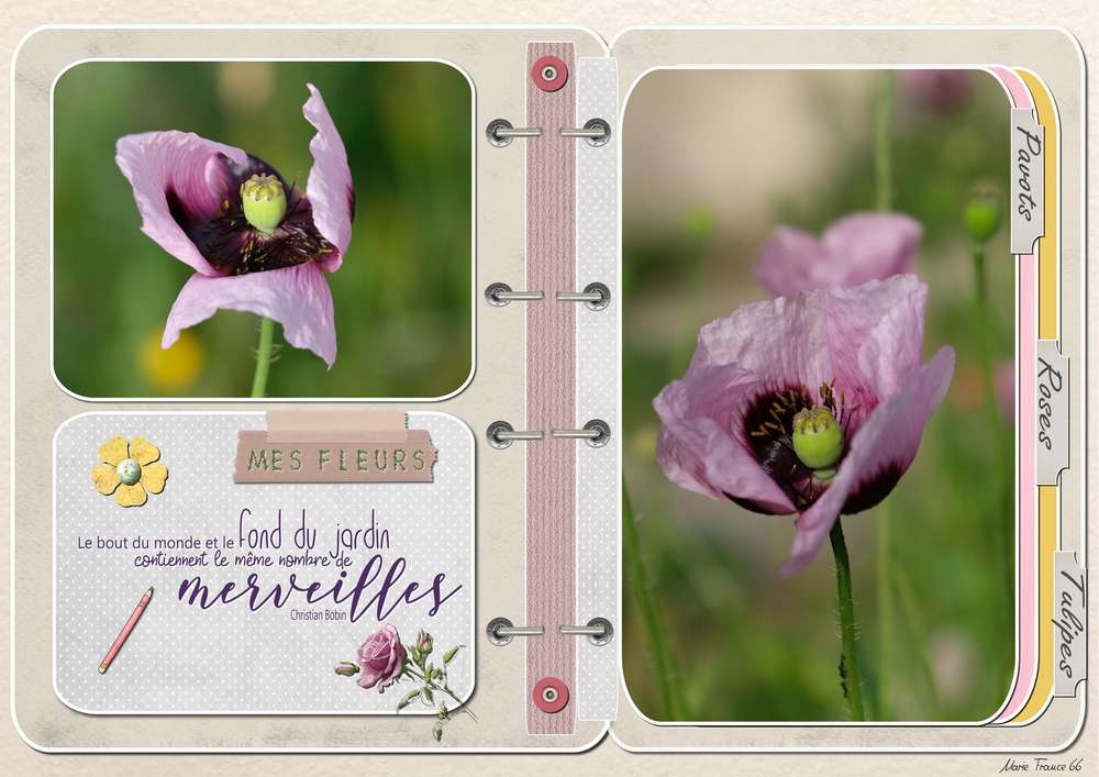 AGENDA TEMPLATE GILBERTE