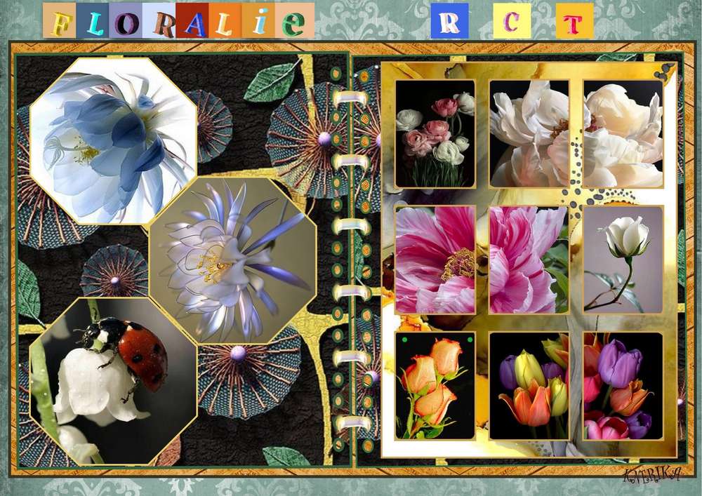 agenda_Floralie____agrafes