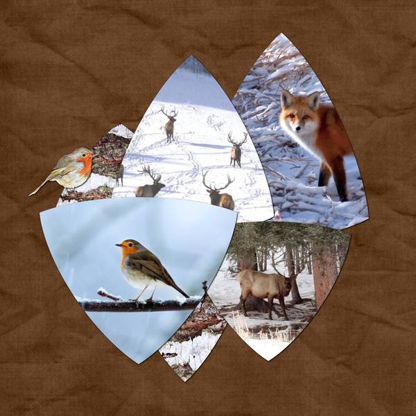 ah ben non, c'est encore des images du froid !