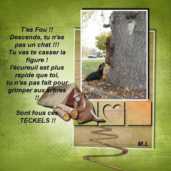 Ah ces teckels .....D'impénitents chasseurs  !!!!