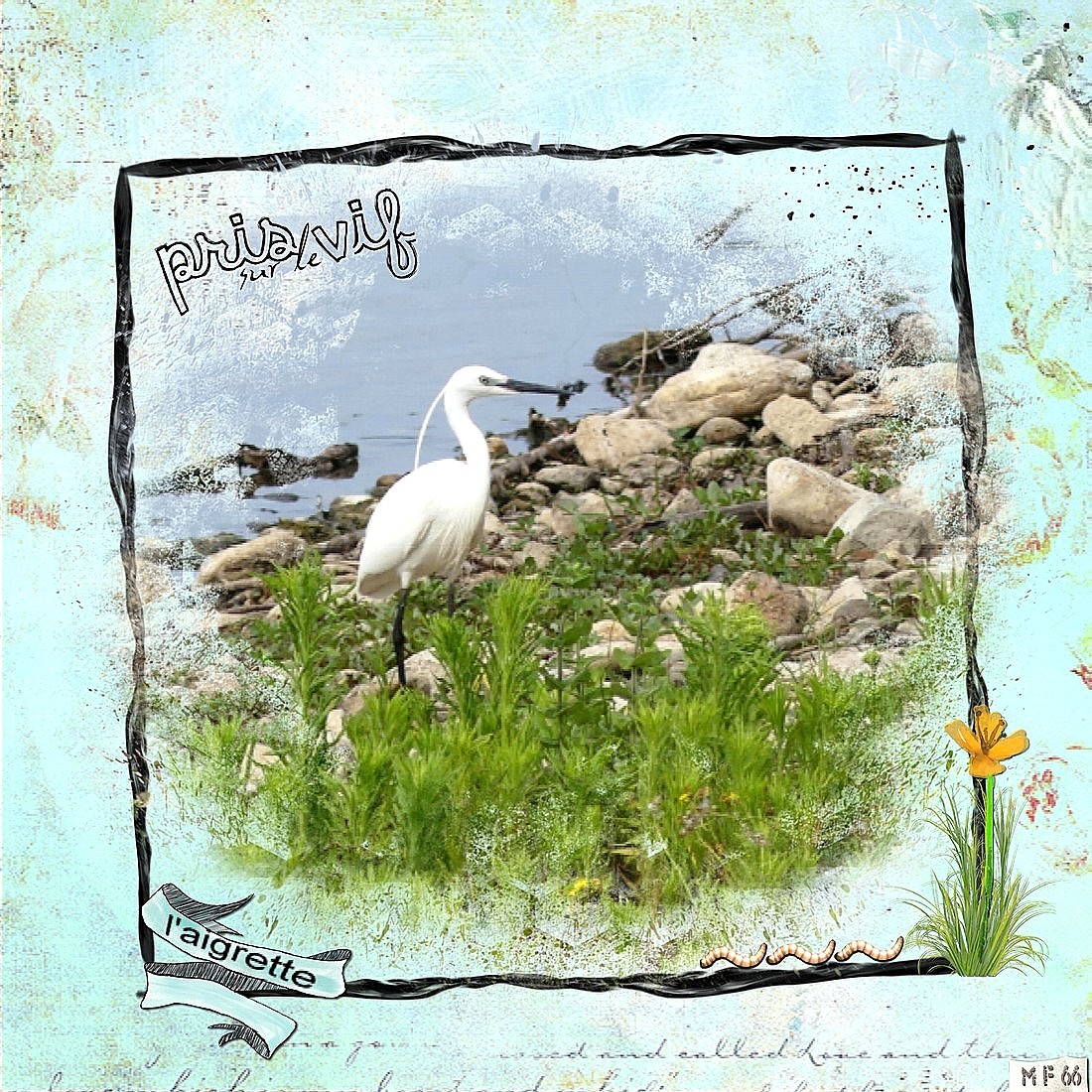 Aigrette lac 07.06.23 .jpg