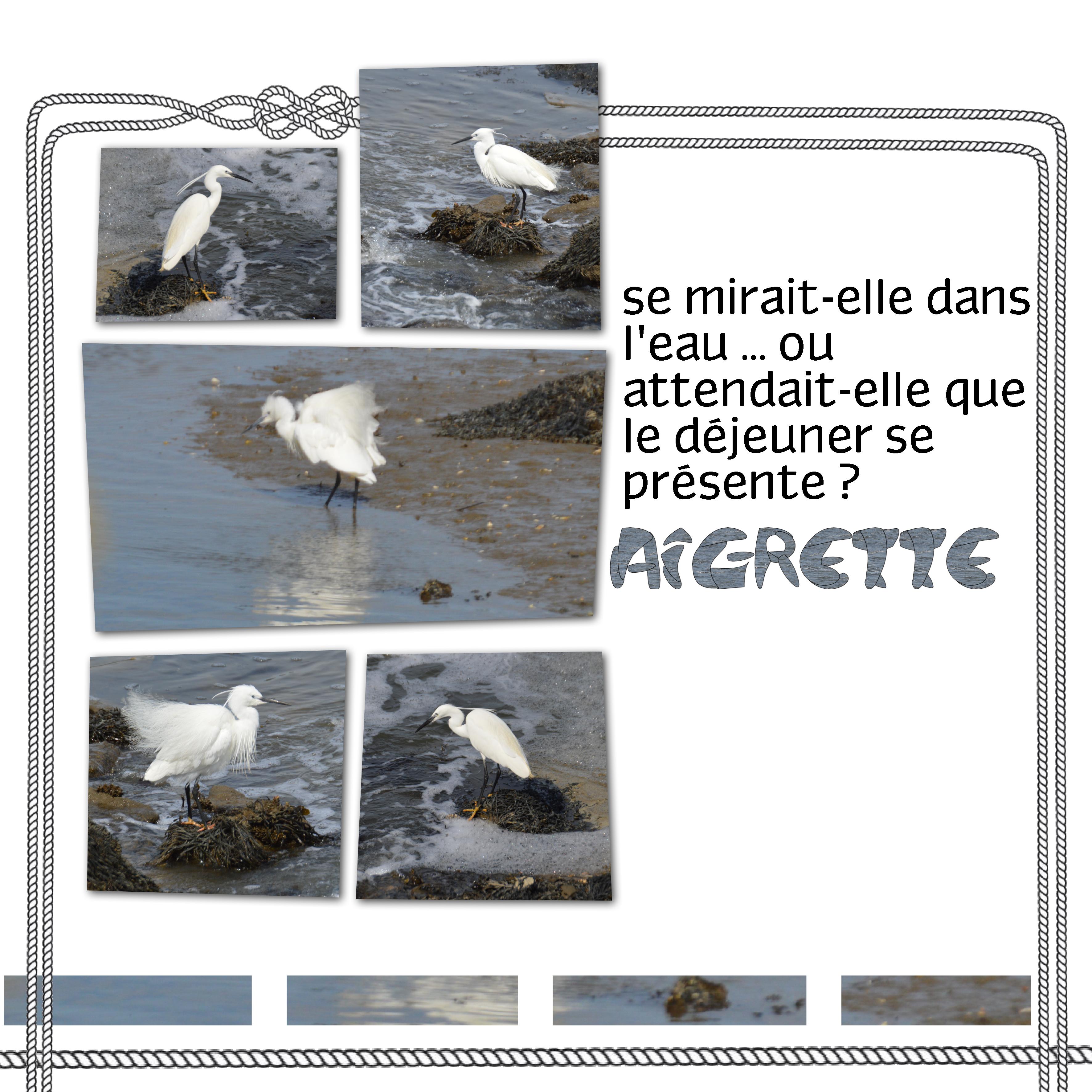 AIGRETTE