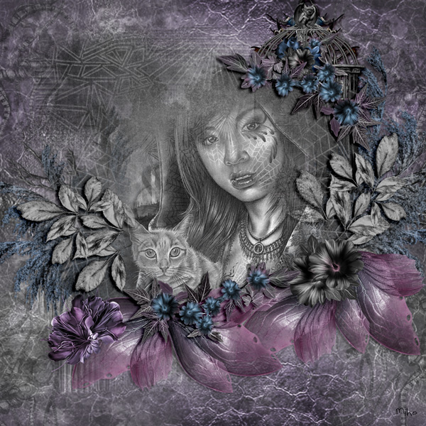 Ailes noires