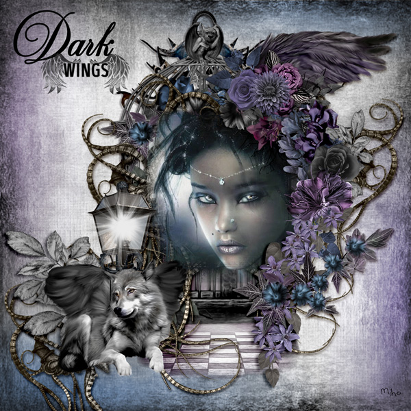 Ailes noires