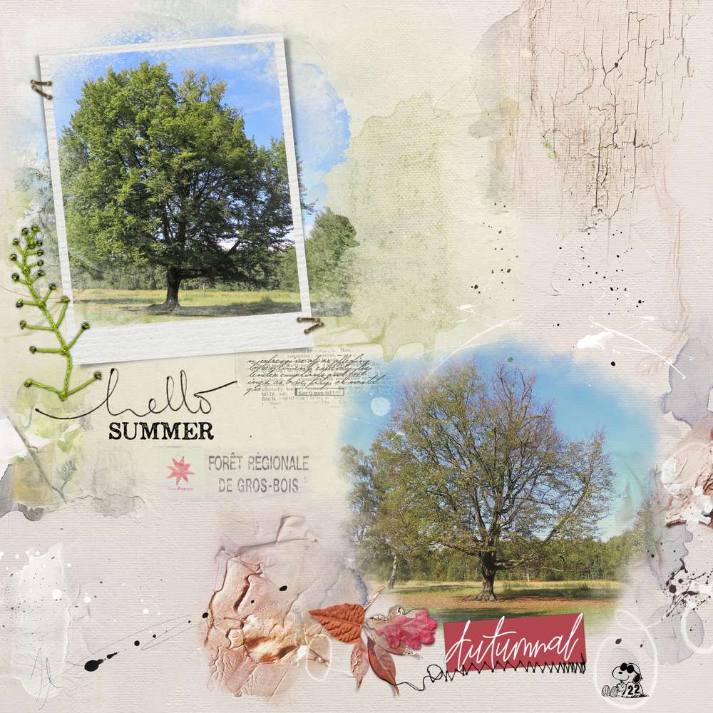 Ainsi passent les saisons...