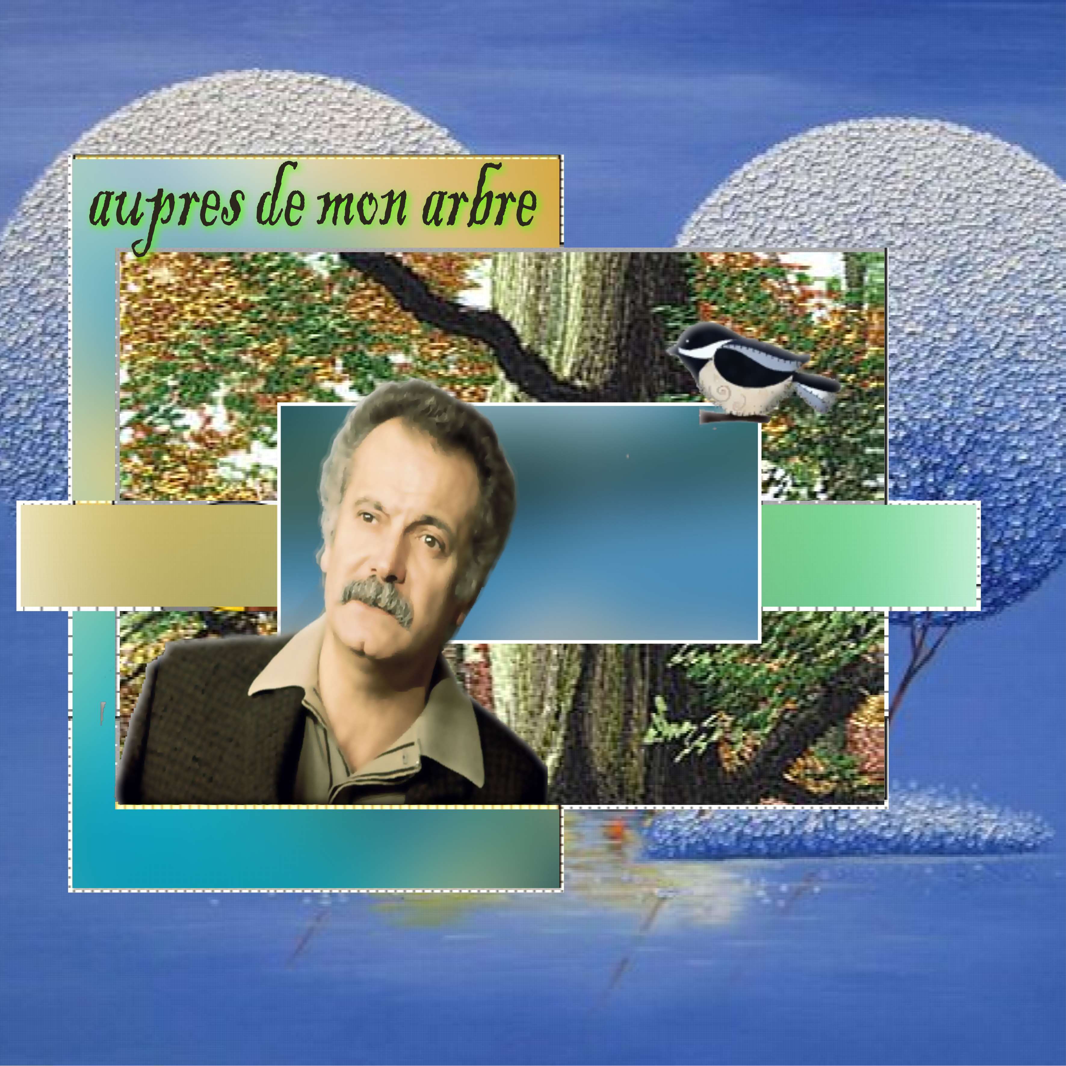 aipres de mon arbre.jpg