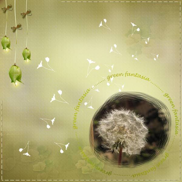 Akènes de pissenlit