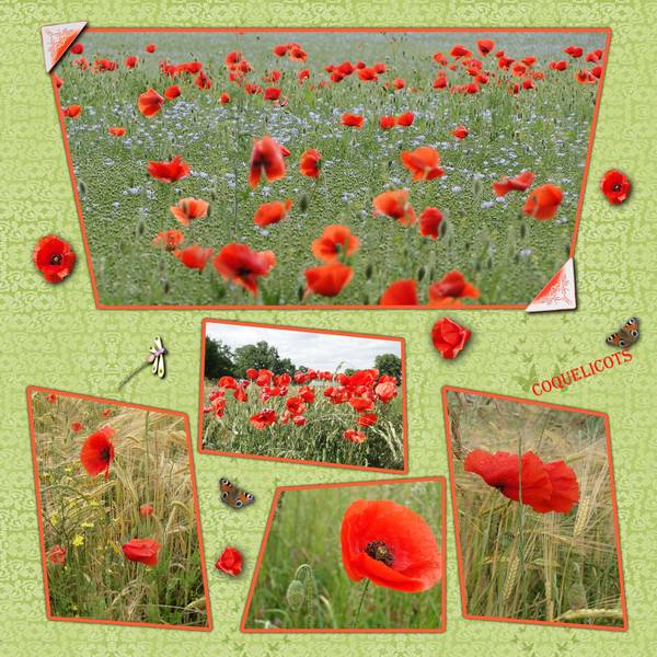 Album au fil des saisons