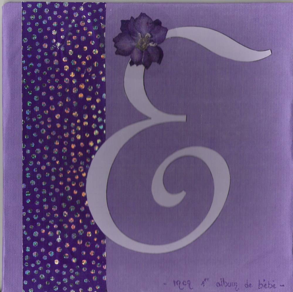 album de naissance à offrir