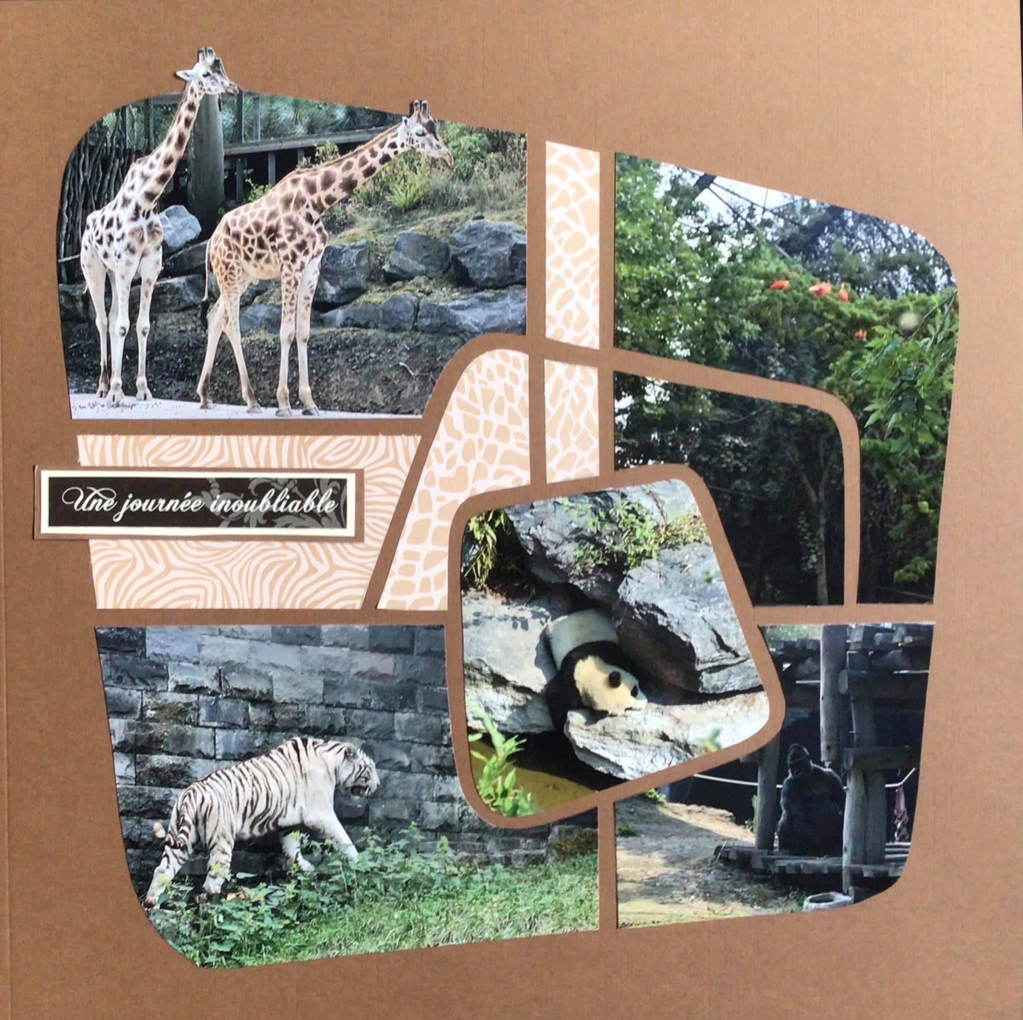 Album Pairi Daiza