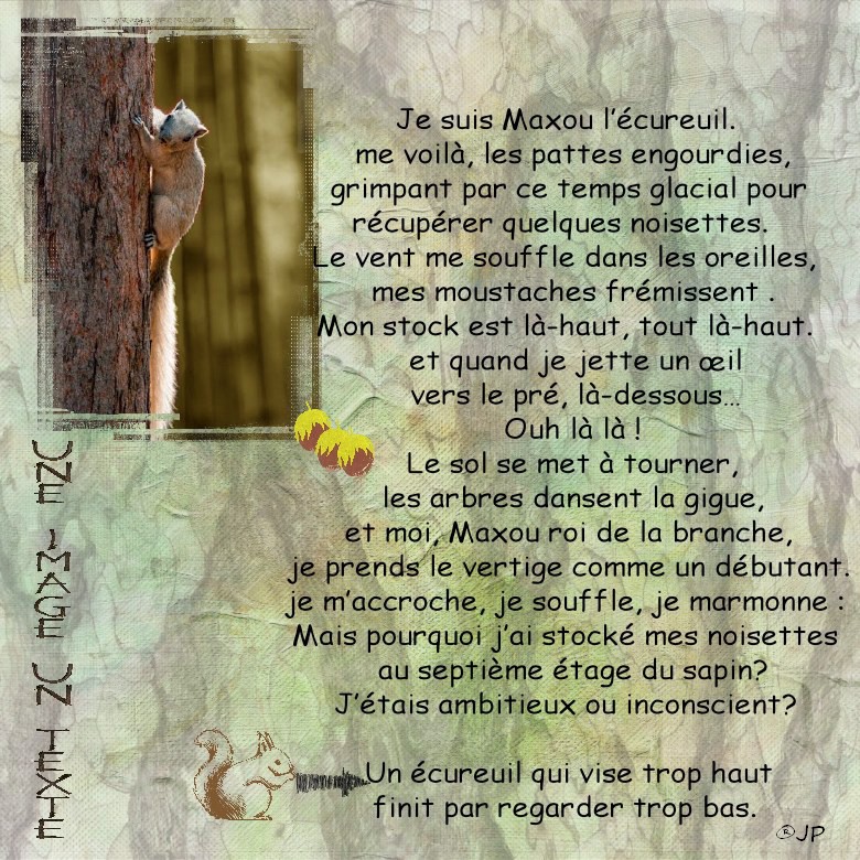 album une image un texte ecureuil.jpg