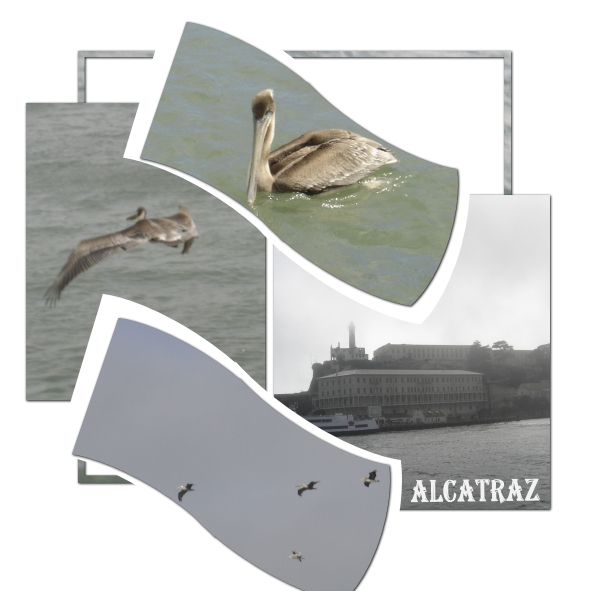 Alcatraz