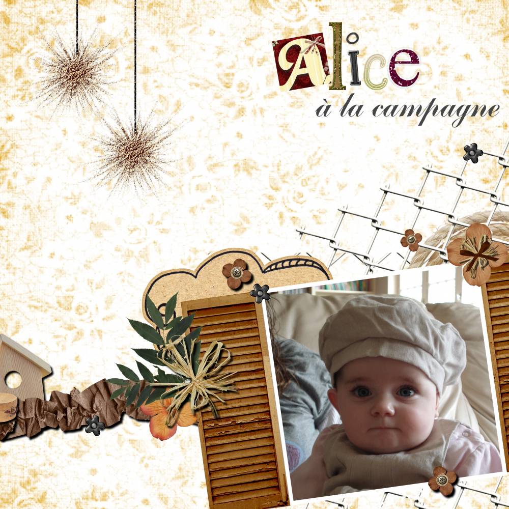 Alice à la campagne