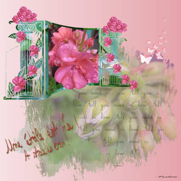 Aliselle c'est ton jour