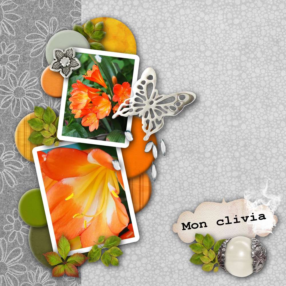 aliselle_defi-juin-clivia