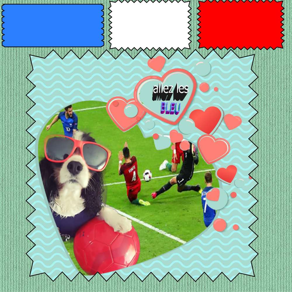 allez_les_bleu_on_va_gagner