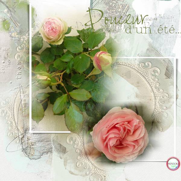 Allons voir si la rose...