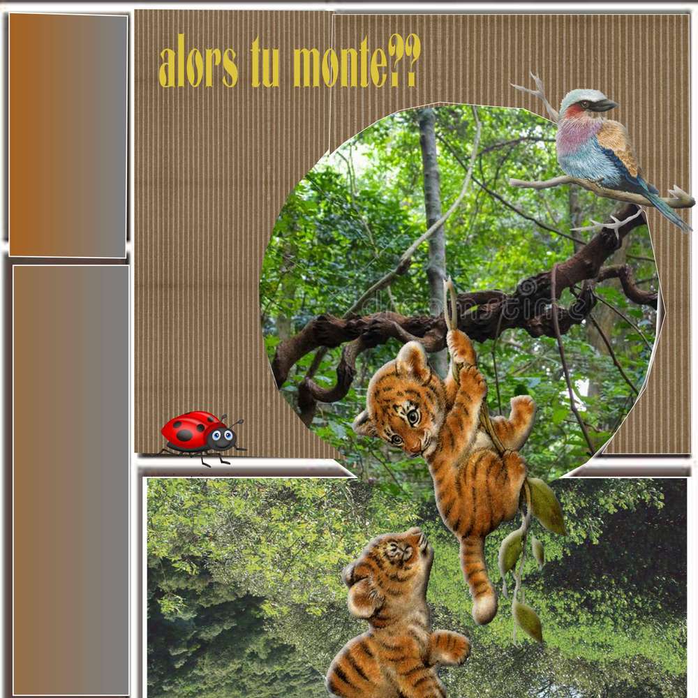 alors_tu_monte__page_1_