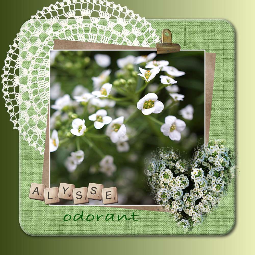 Alysse