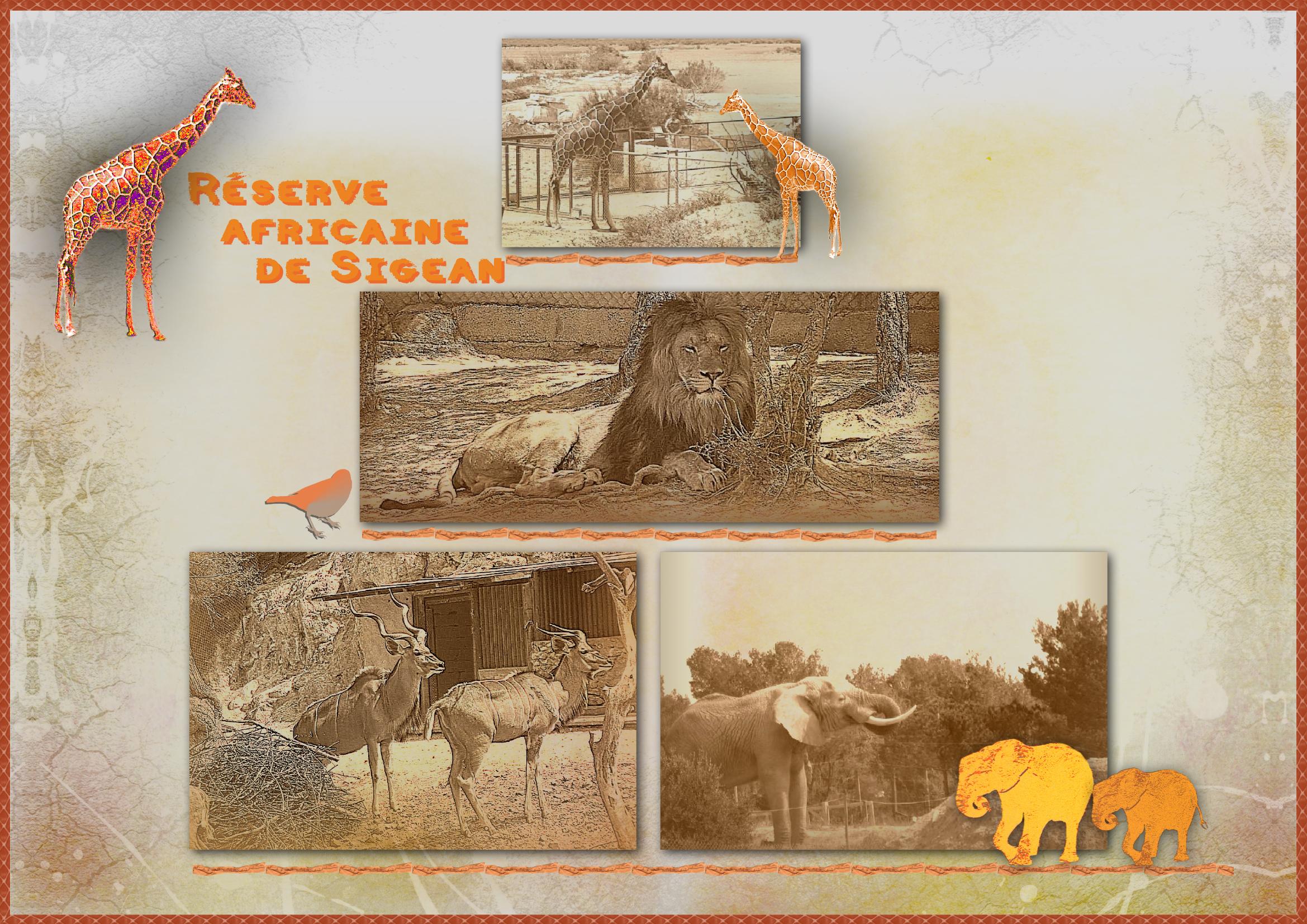 Ambiance africaine .jpg