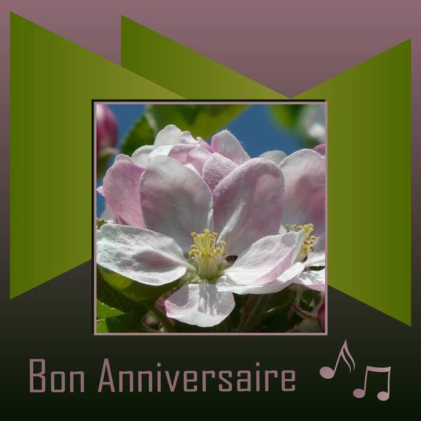 AMCORAZZA - BON ANNIVERSAIRE