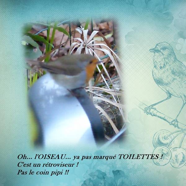 amcposepipi