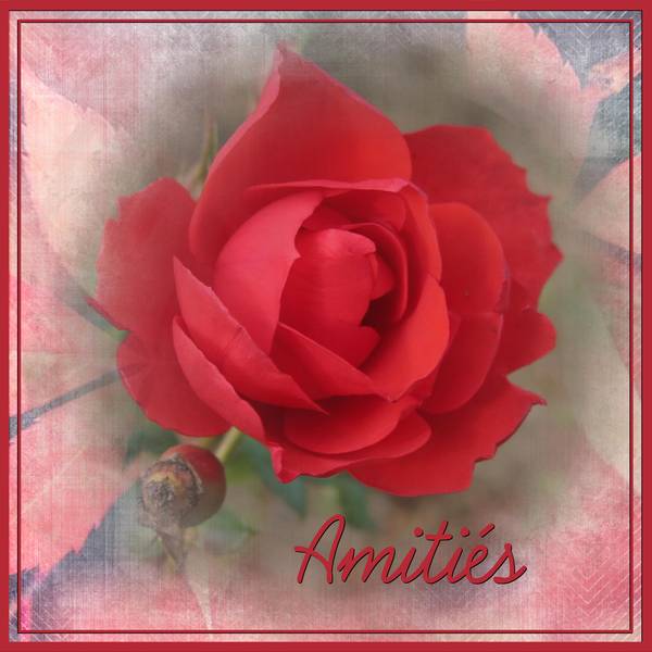 AMITIES