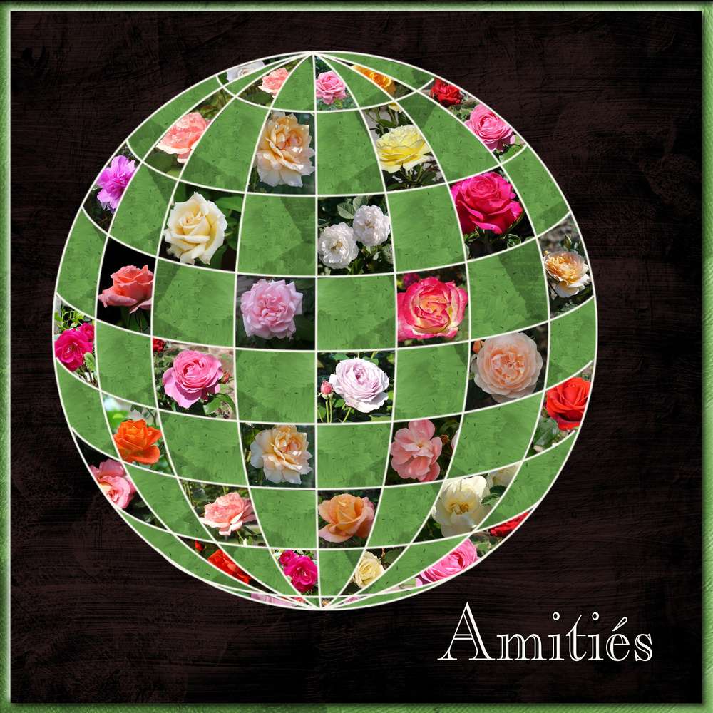 AMITIES