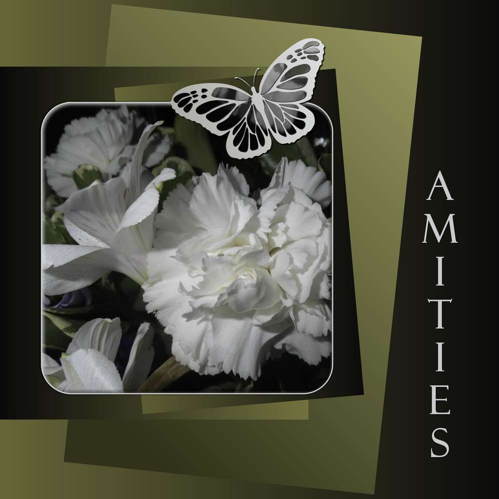 AMITIES