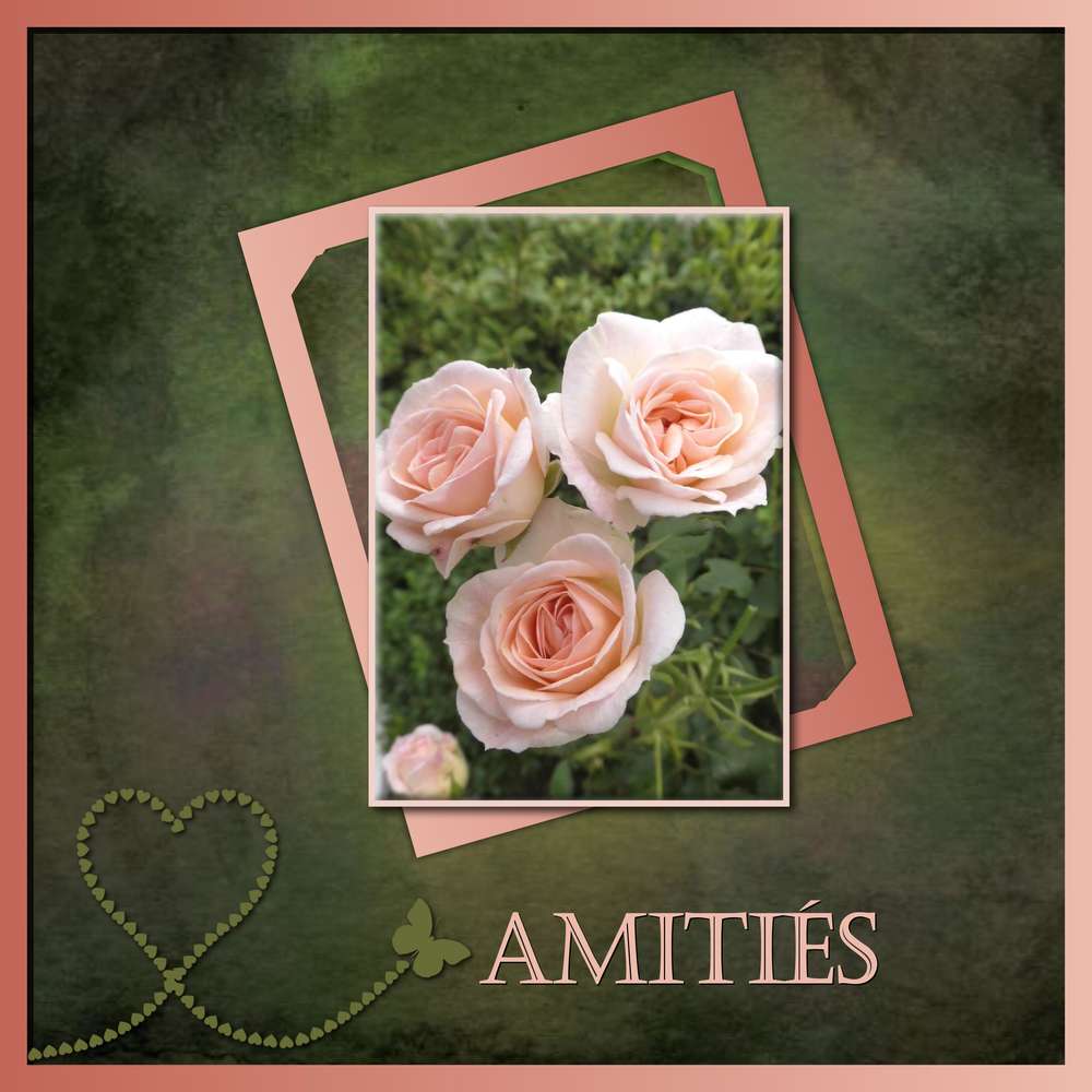 AMITIES