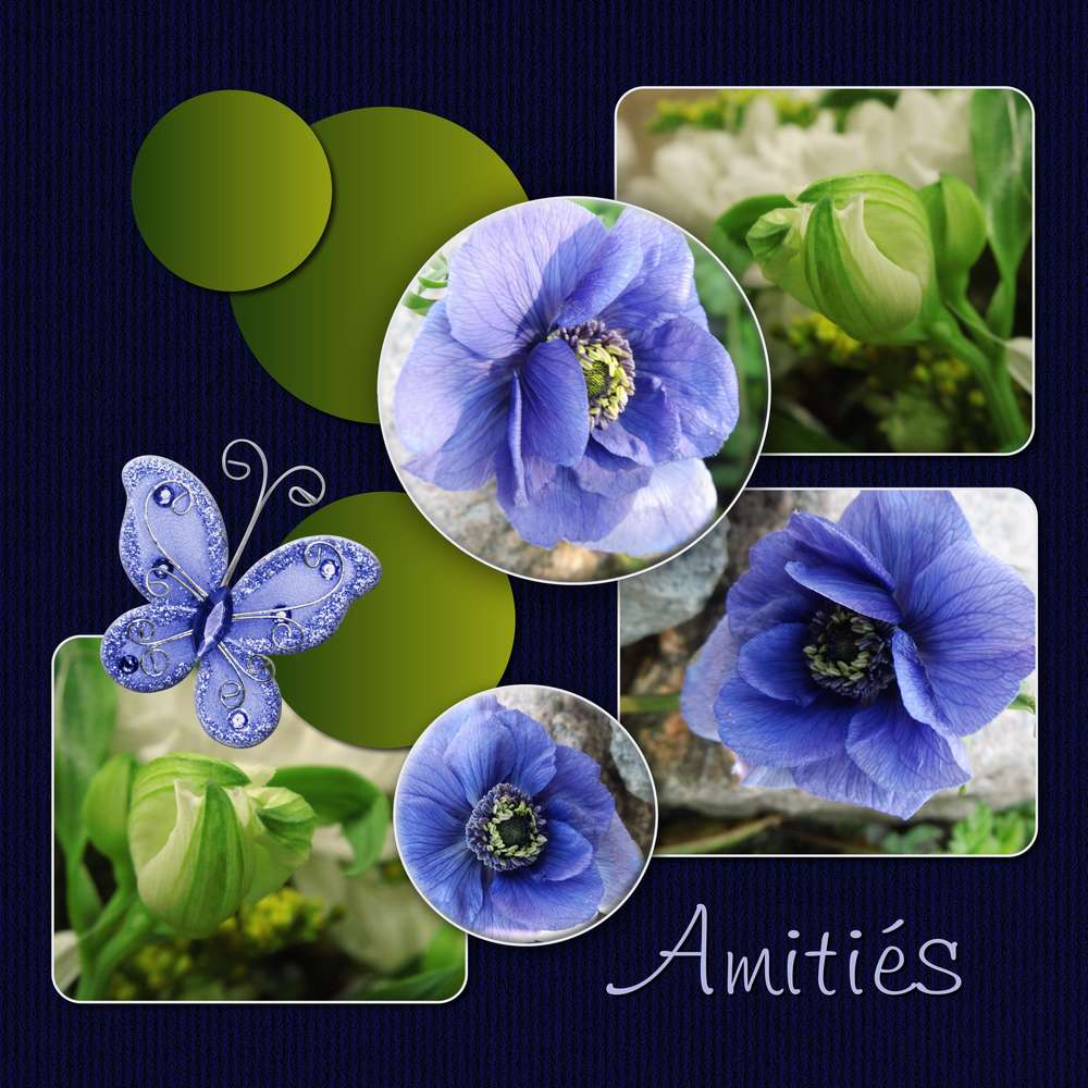 AMITIES