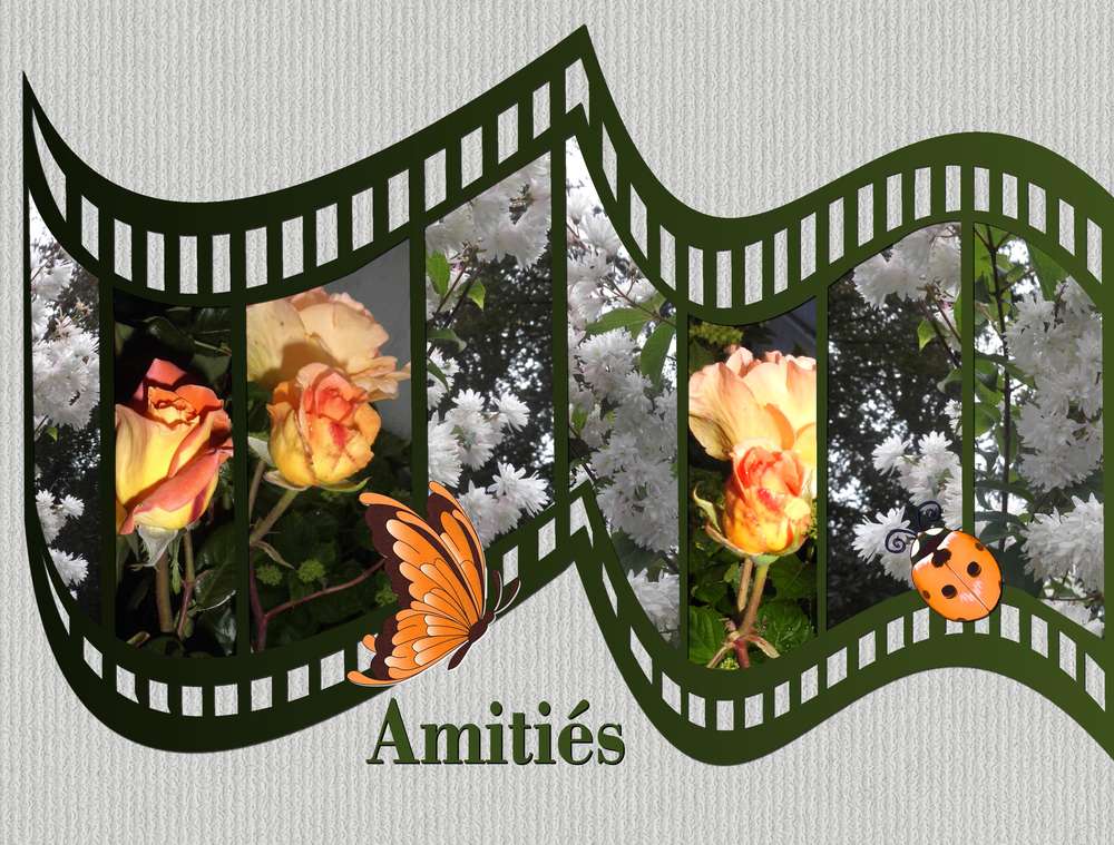 AMITIES