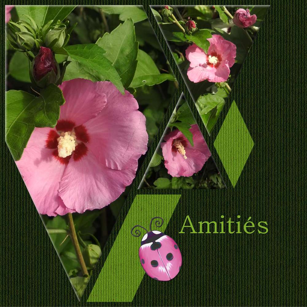 AMITIES
