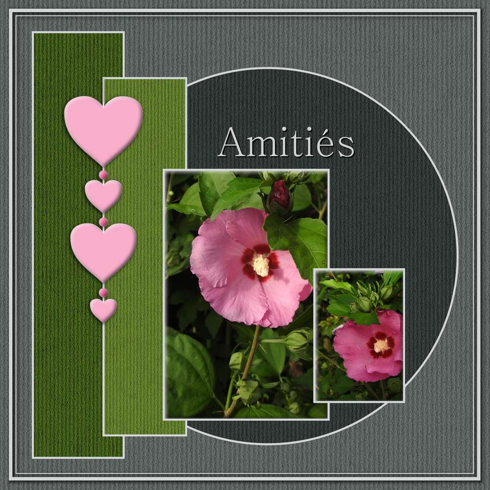 AMITIES