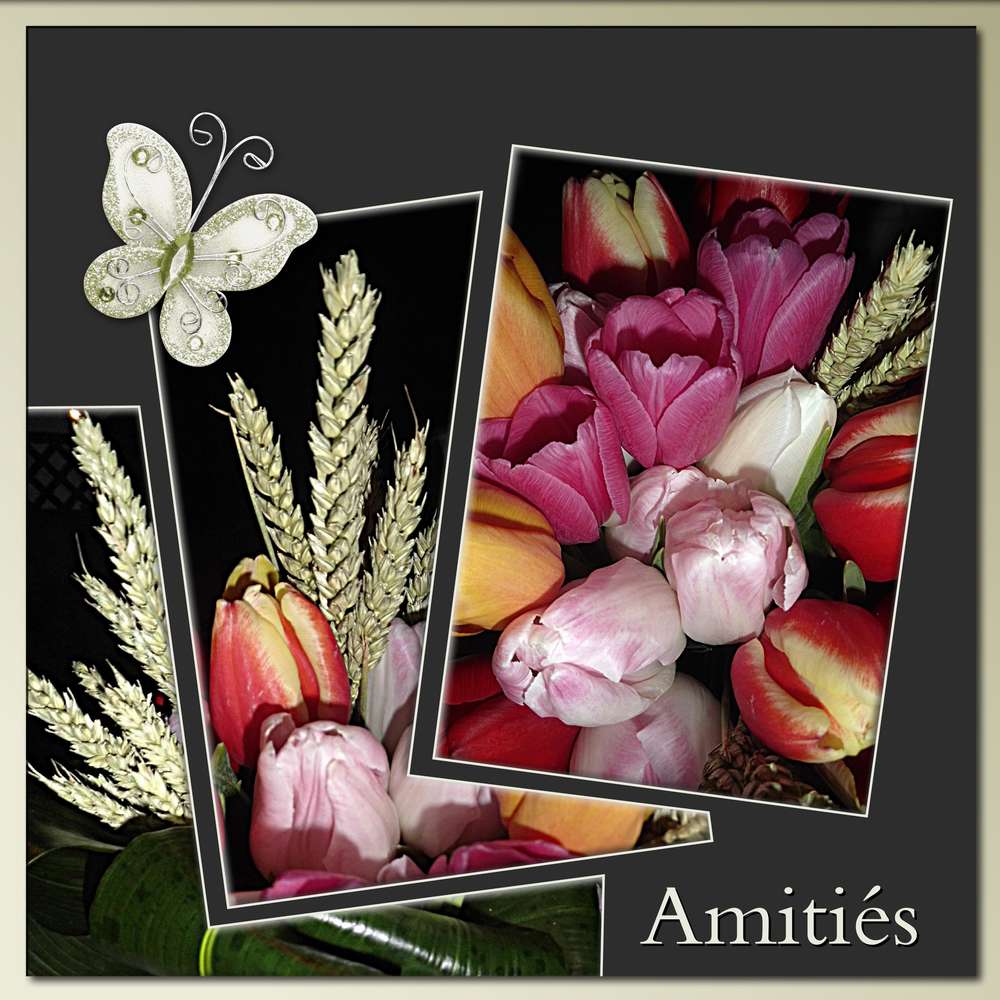 AMITIES