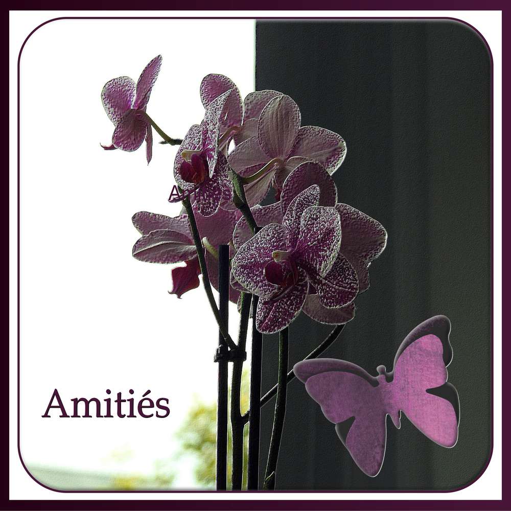 AMITIES