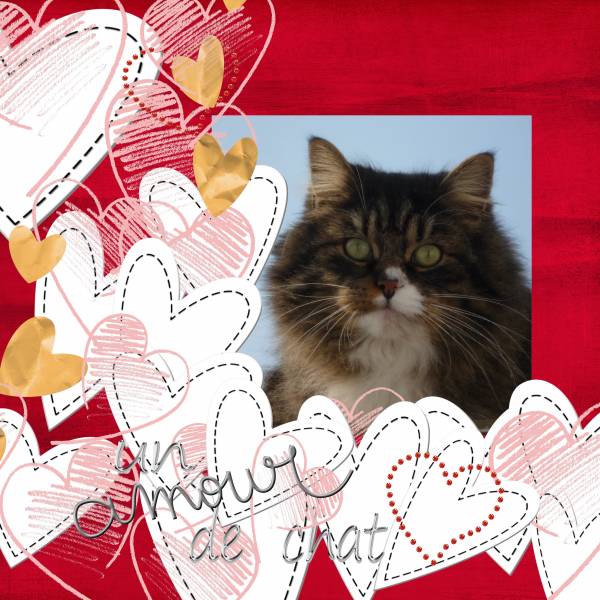 AmourdeChat Défi Max