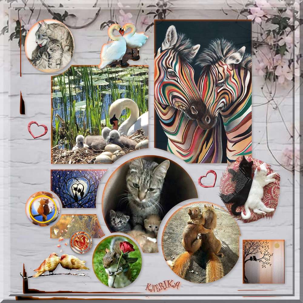 amours_des_animaux__12_02_2019_copie_OK__1_